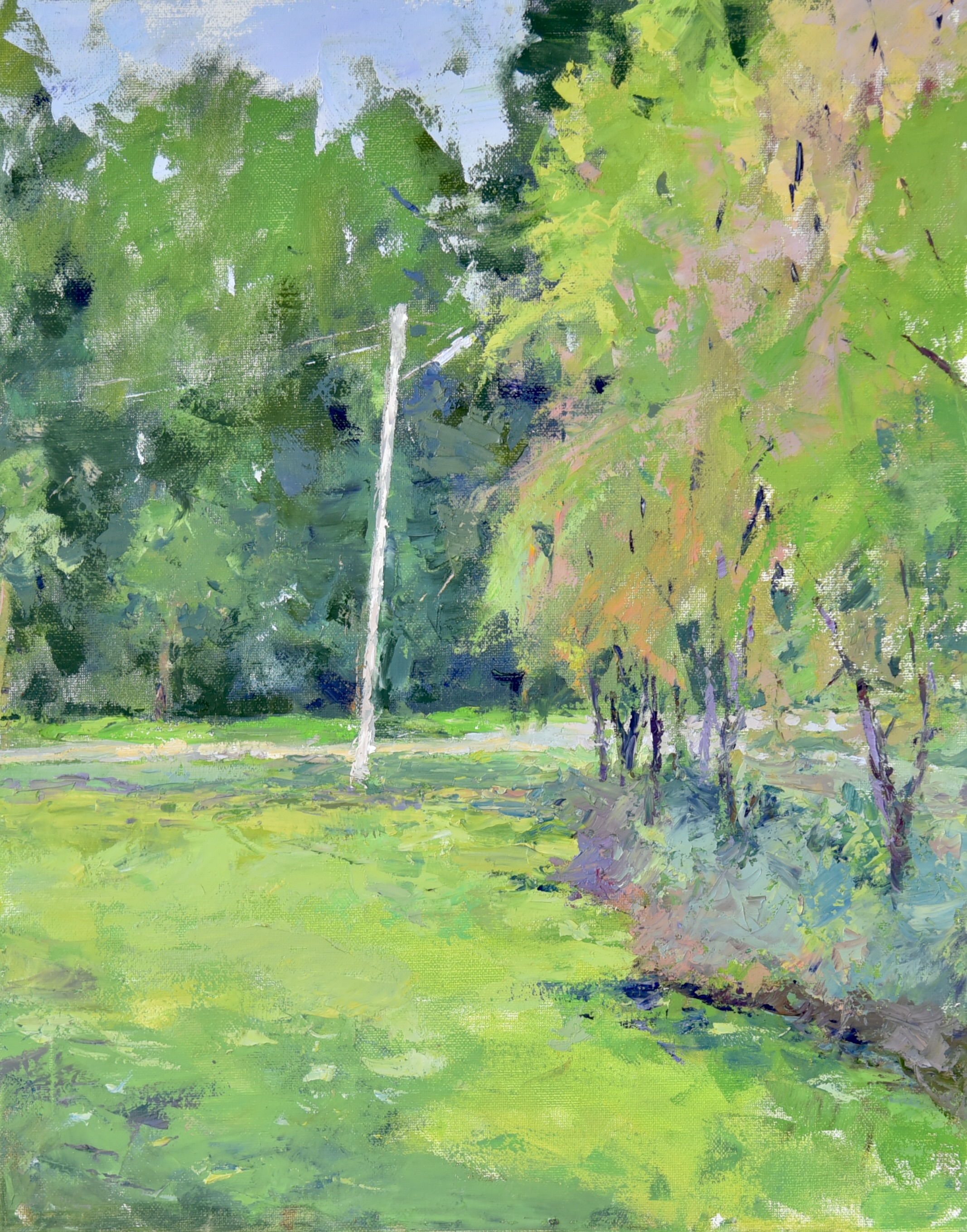The garden