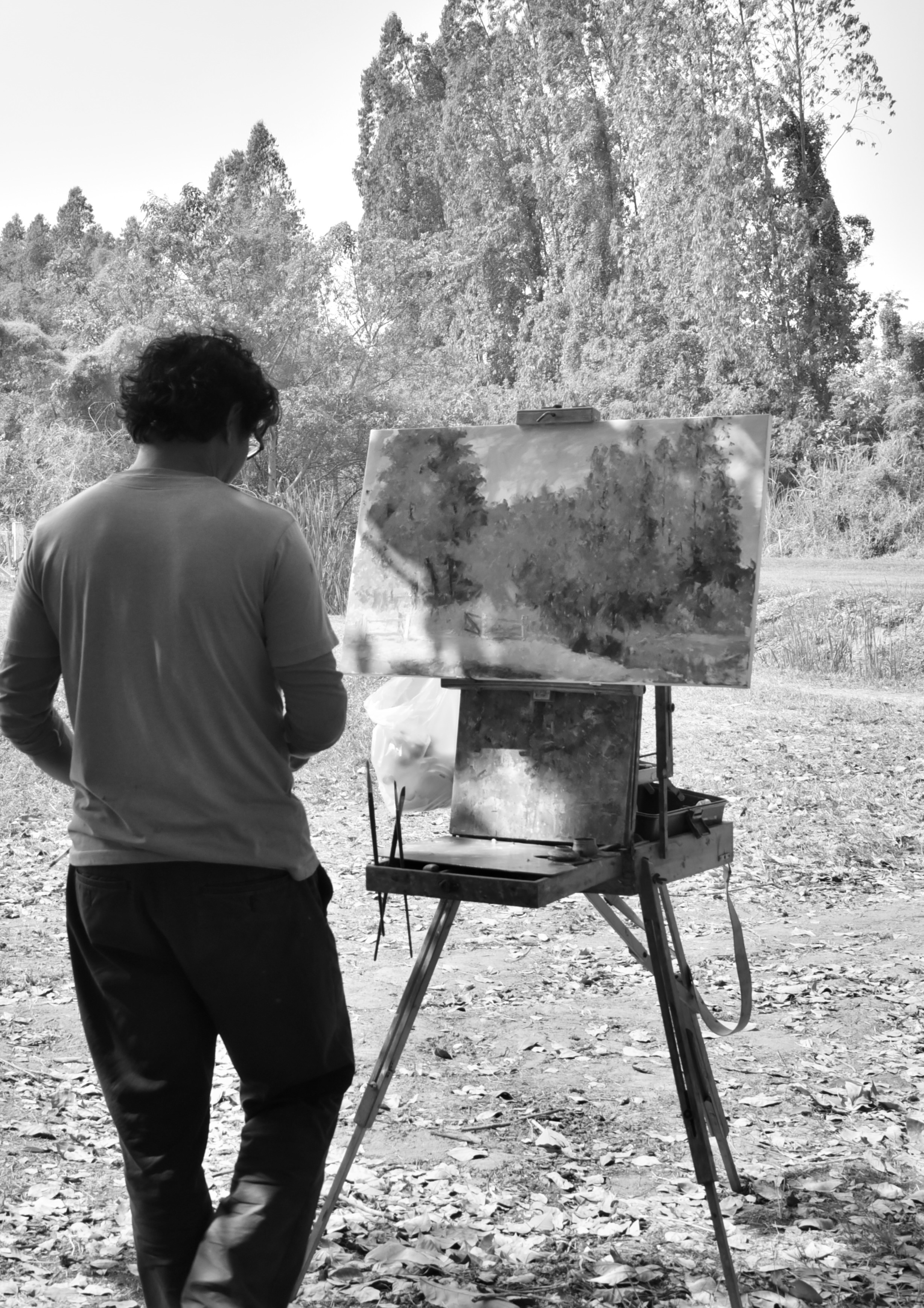 Painting - the rice fields .