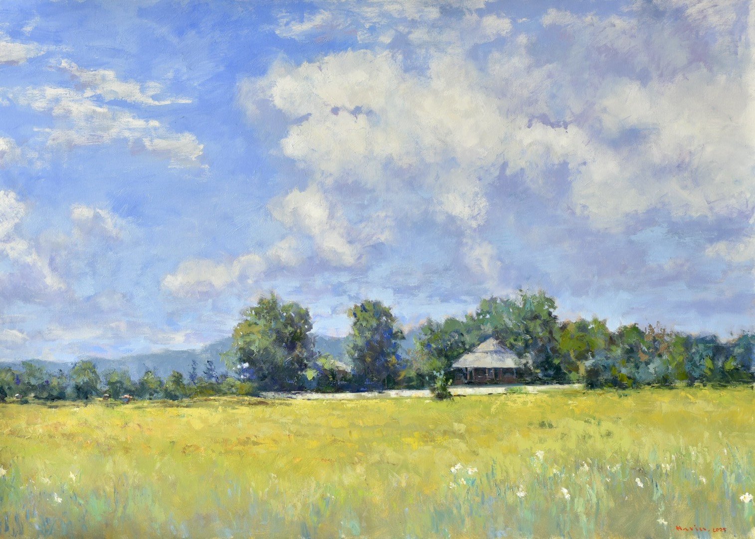 Golden Field at Mae Rim , Chianhmai