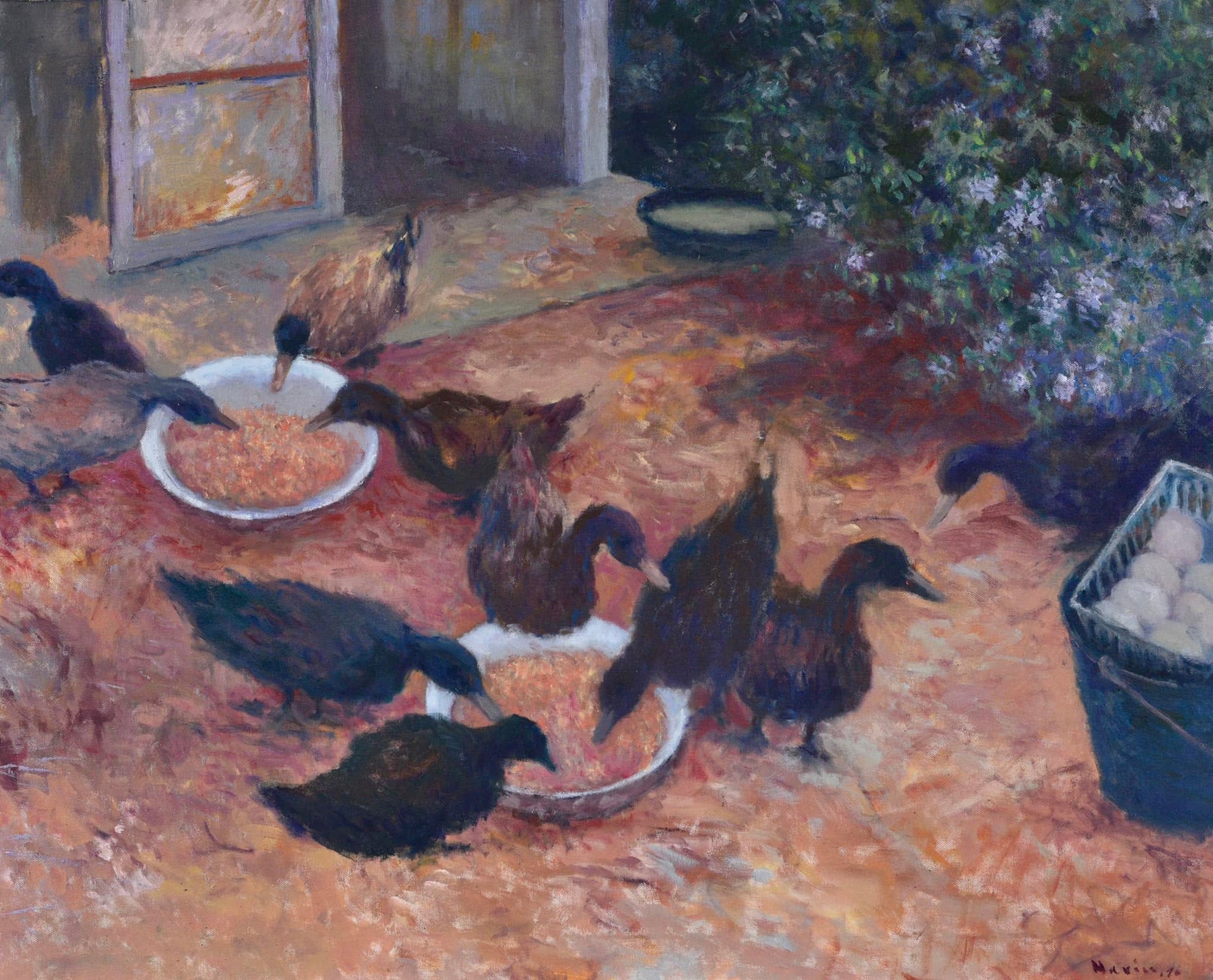 Evening Ducks .